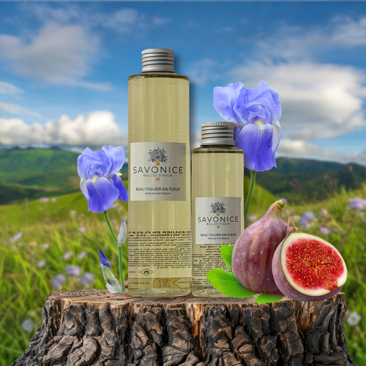 Recharge Beau Figuier en Fleur