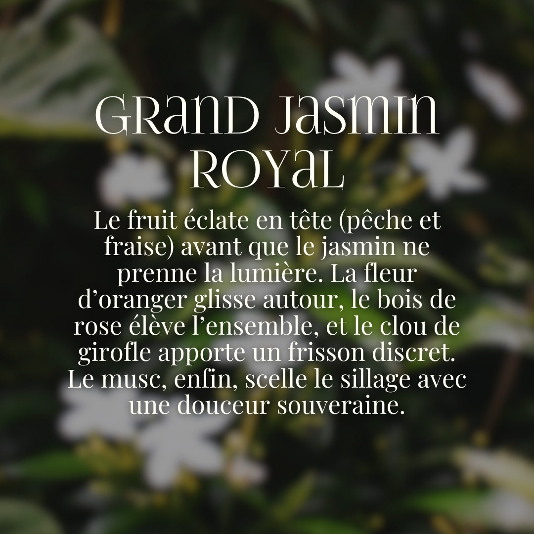 Grand Jasmine Royal Refill