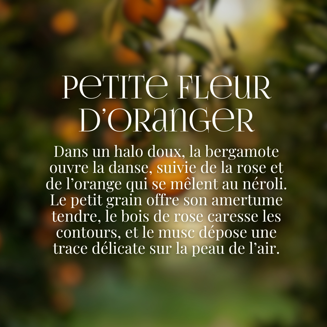 Recharge Petite Fleur d'Oranger
