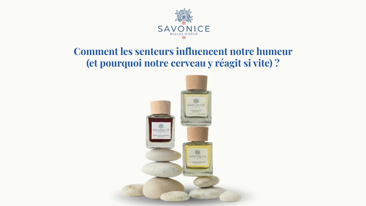Comment les senteurs influencent notre humeur (et pourquoi notre cerveau y réagit si vite) ?