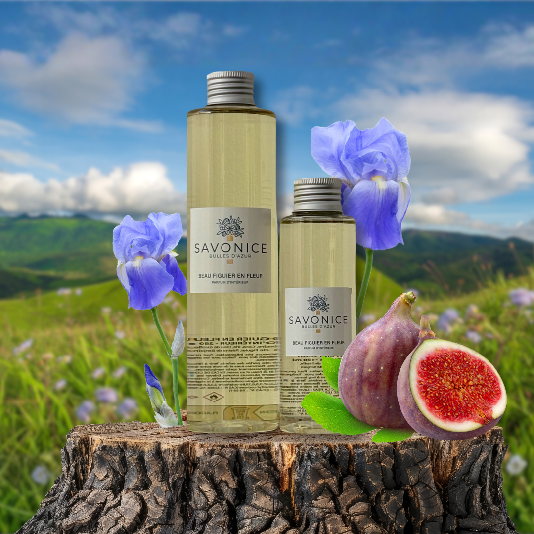 Recharge Beau Figuier en Fleur