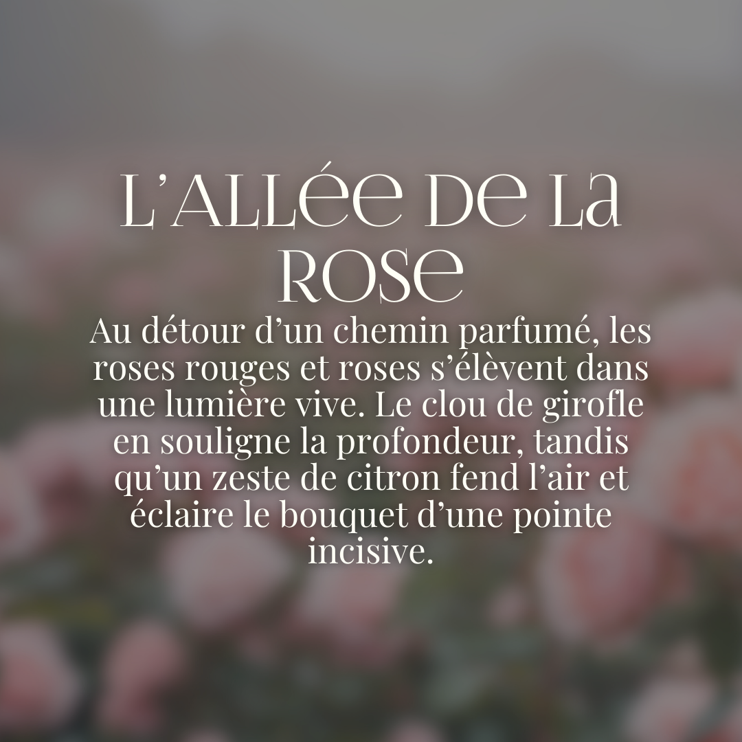 Parfum d'Ambiance L'Allée de la Rose