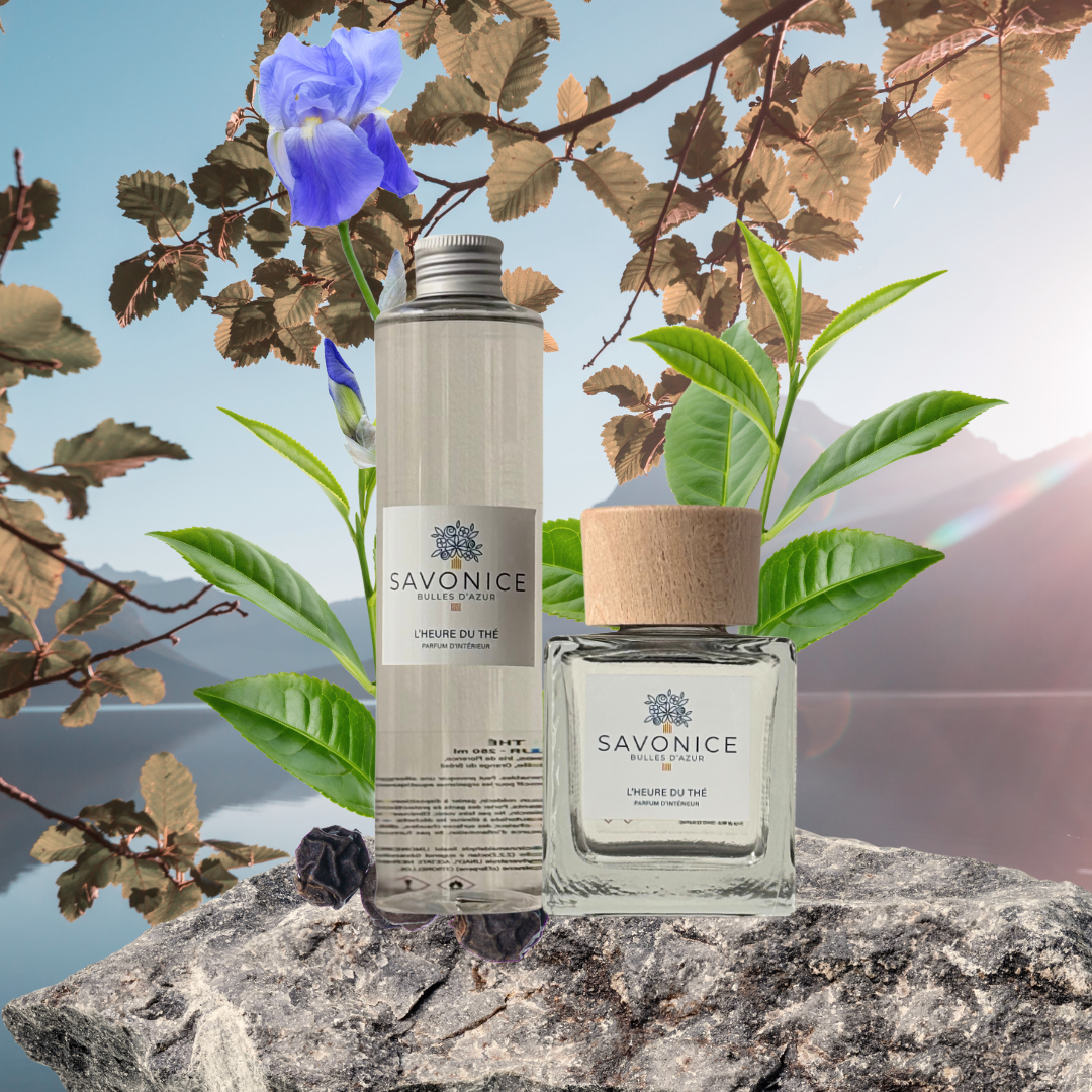 Lot 1 Parfum d'ambiance 100ml + 1 Recharge 100ml au choix