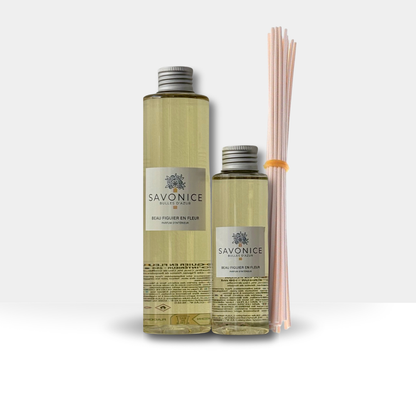 Beautiful Fig Tree in Bloom Refill